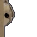 hitherecat