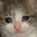 SadKitty
