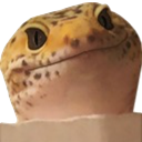 peek Discord emoji