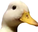 canwetrust