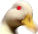 questionmark