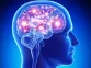 big_brain