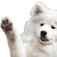 Dogwave