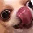 :ohyes: Discord Emote