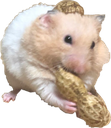 :ompeenom: Discord Emote