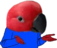 DjillShrug