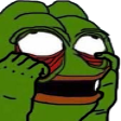 :pepenooooo: Discord Emote