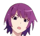 SenjoShocked