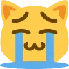 4046_happycry_cat 4046_happycry_cat