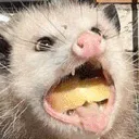 monch