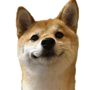 shibaduck shibaduck