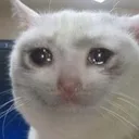 CryingCat2