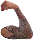 kiichiFlexR