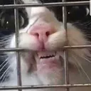 LEMMEATEM