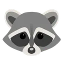 fh_raccoon