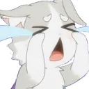 PuckCry