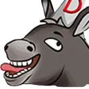 DerpDonkey DerpDonkey