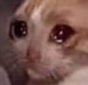 catcry Discord emoji