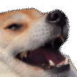chkek
