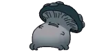 concusshroom concusshroom