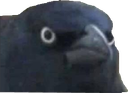 Judgement Discord emoji