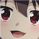 MEGUface MEGUface