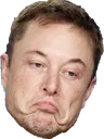 SadElon