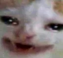 cryingcat cryingcat
