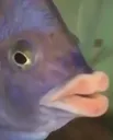 Smack