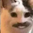 Catastrophe_hehe