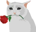 sadcat