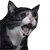 yamero