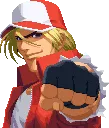 TerryFist