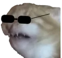 disgustcattosunglasses Discord Emoji