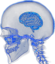 smallbrain Discord emoji