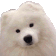:wonderBOYE: