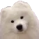 wonderBOYE