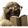 :slothIntellegence: