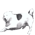 :whosagoodBOYE: