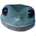 frogSmile