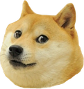 Doge Discord emoji
