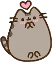 PusheenShy