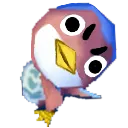 twirpstare