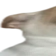 casH
