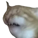 digustCat