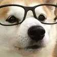 smartdoggo