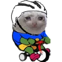 trisadcat