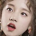 yuqiwut
