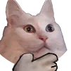 OlafThink