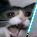 jedicat